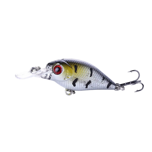 CrankWave50 SilverPerch